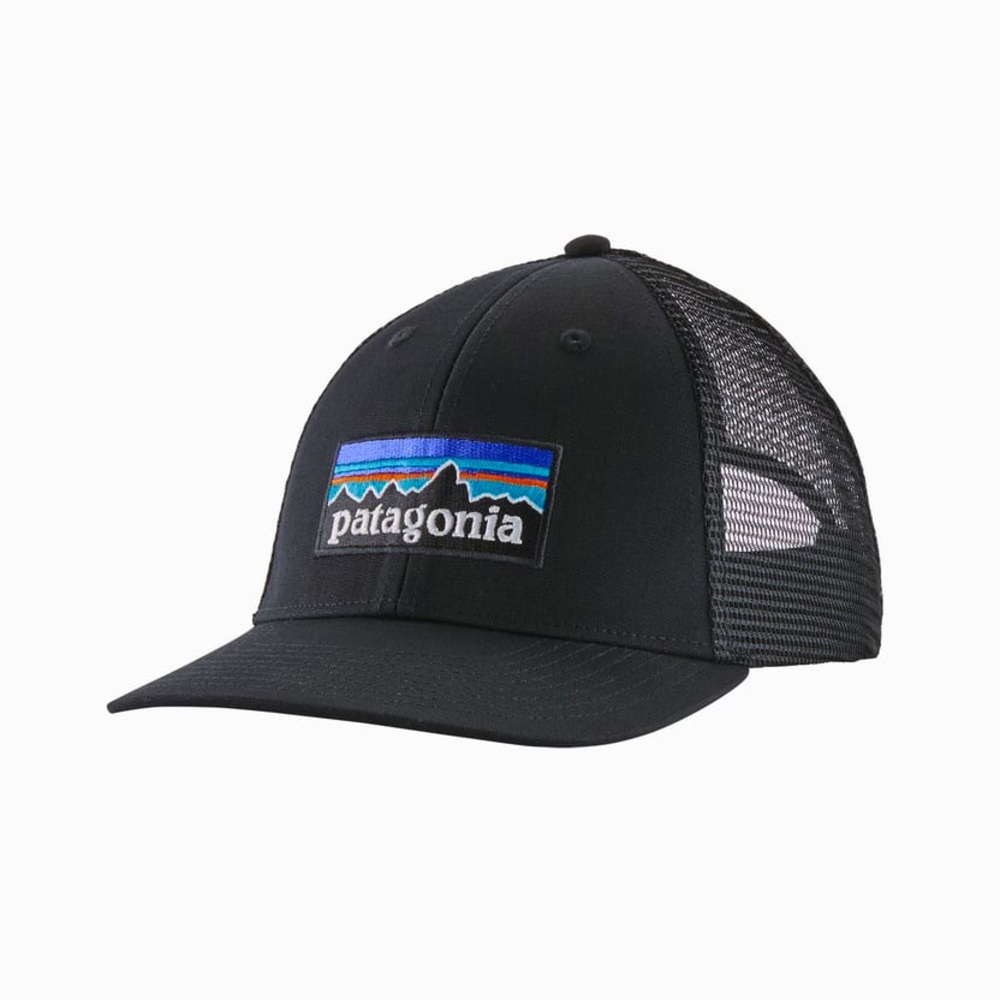 PATAGONIA P-6 Logo LoPro Trucker Hat